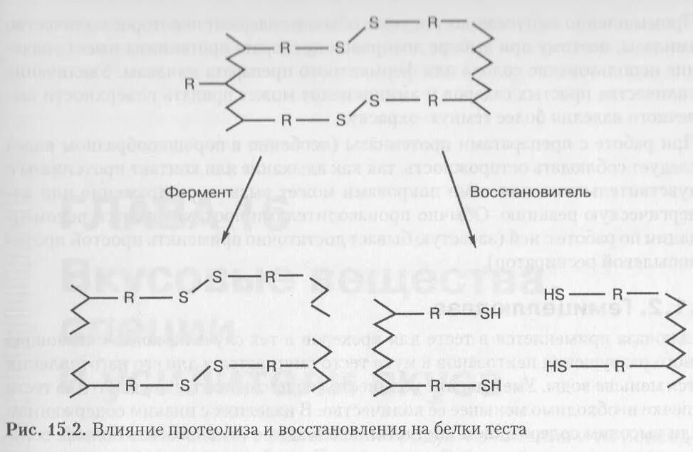 Фермент дрожжи. Амилаза фермент реакция. Амилаза химическая формула. Какие реакции катализируют амилаза и липаза. Ферменты дрожжей является катализаторами процесса.
