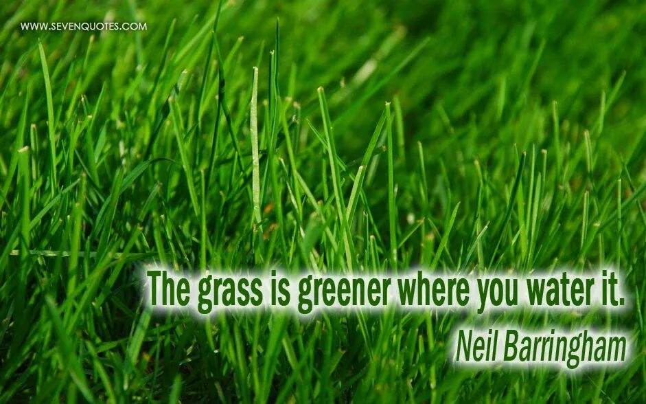 Grass greener on the other side. The grass was greener. grass are green. the grass is always greener on the other side of the fence идиомы. the grass is always greener on the other side.