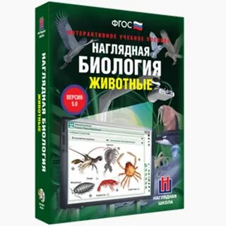 Наглядная биология