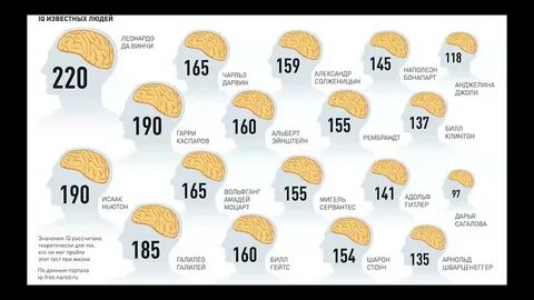 Айкью 152 что это значит