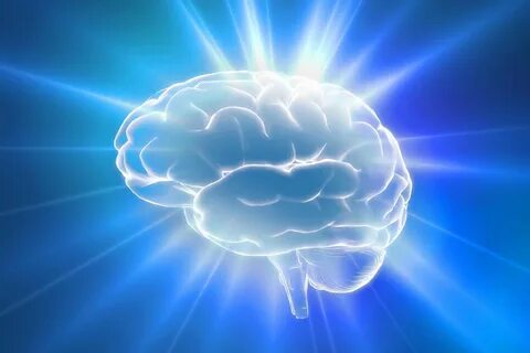 Brain mind
