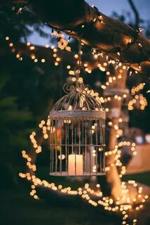 Beautiful lighting