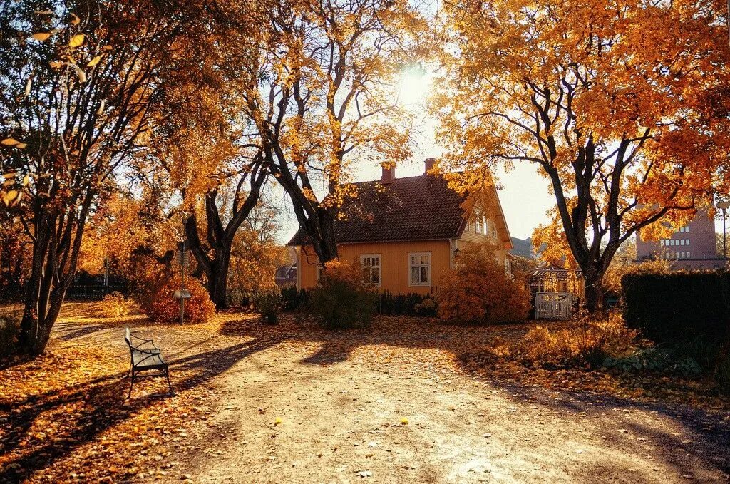 Осенний дом. Осень дом. Дома осенью. Осень угол дома.