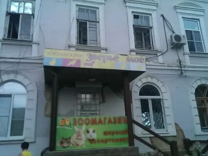 Зоомагазин таганрог