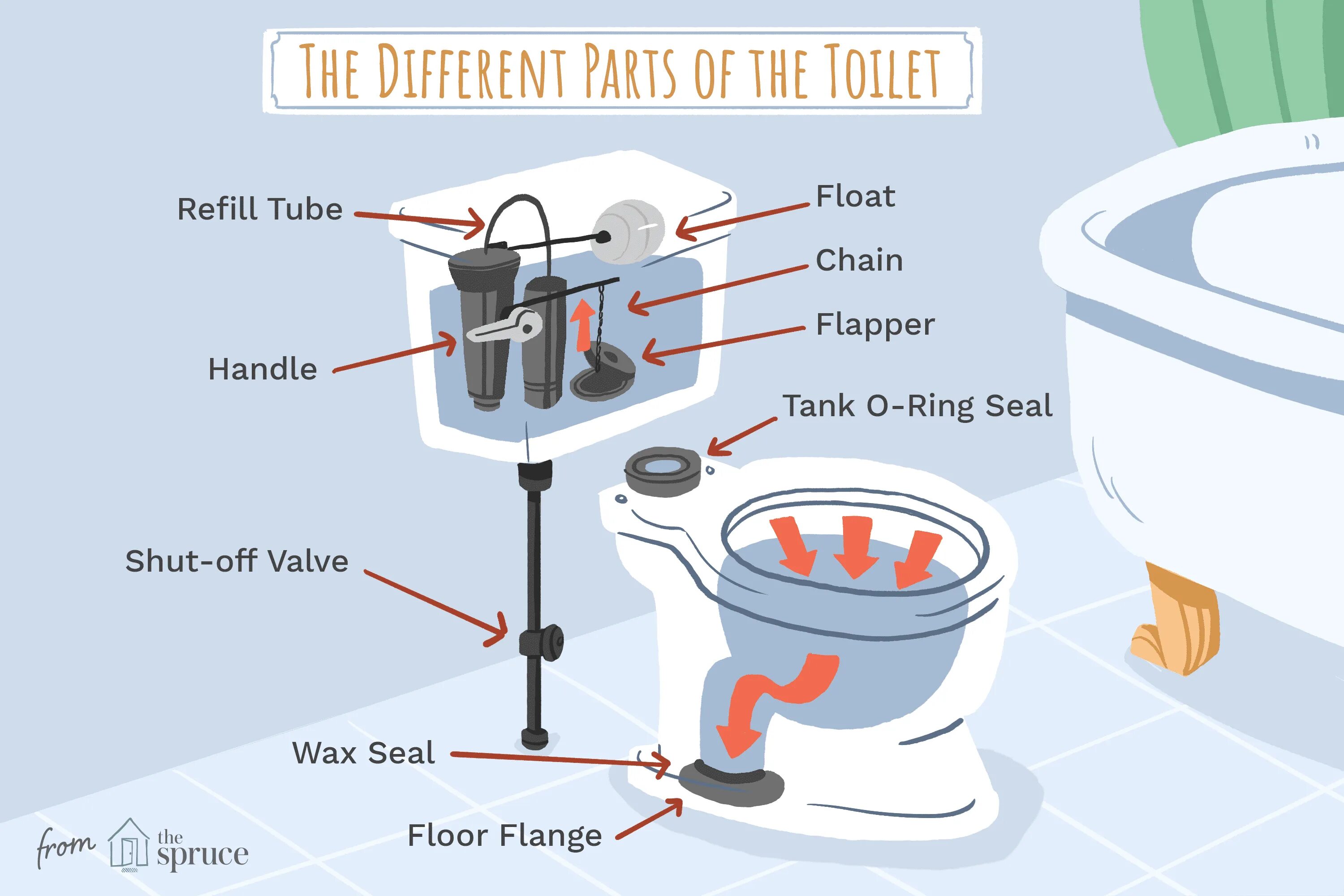 Где все яйца в toilet tower. Части унитаза. Toilet Tank. Унитаз для неотапливаемых помещений. Toilet Parts.