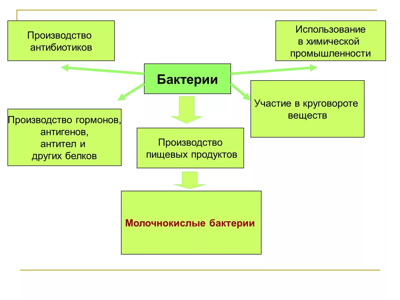 Использование микроорганизмов в промышленности. Использование бактерий в производстве. В промышленности бактерии используют. Использование бактерий в промышленности.