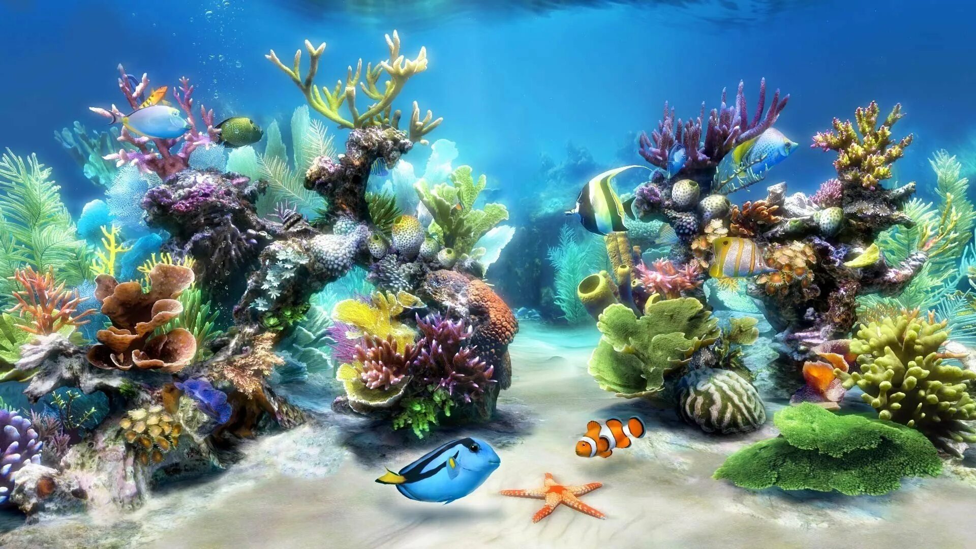 Морские рыбки для аквариума. Дед мороз водолаз. Водолаз новый год. Новый год на морском дне. Водолаз новый год.