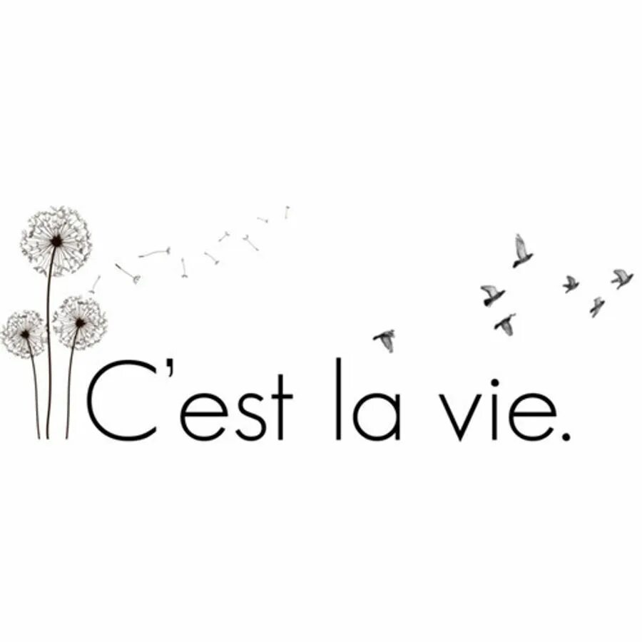 Такова жизнь на испанском. C&#039;est la vie. надпись c&#039;est la vie. се ля ви татуировка. такова жизнь на французском языке.