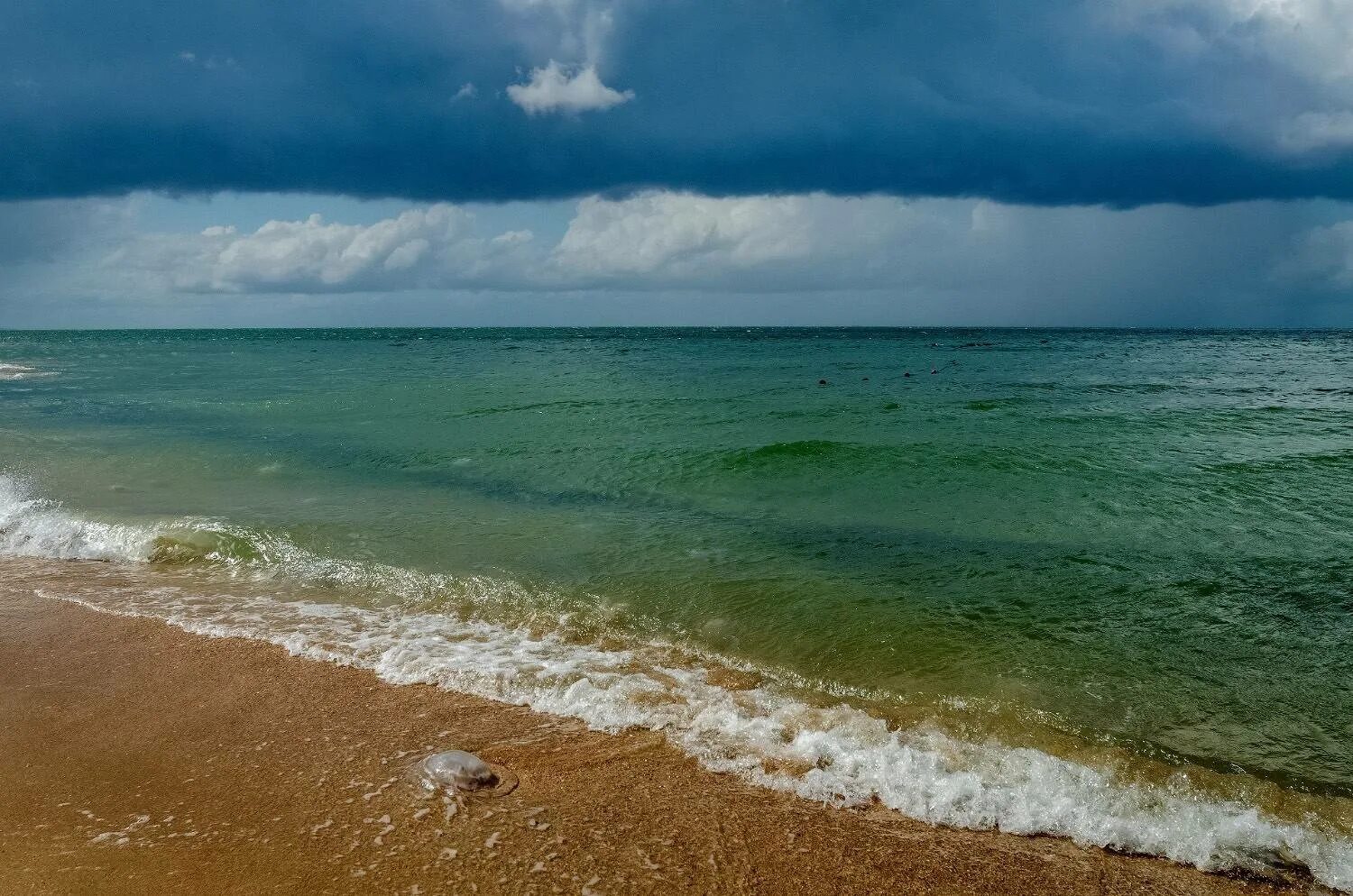 Азовское море сейчас