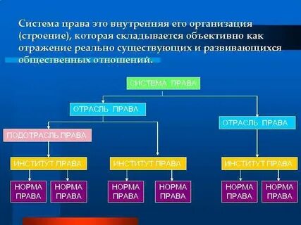 Внутренняя структура отрасли