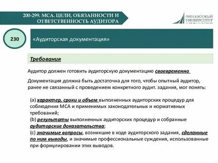 Аудит 200