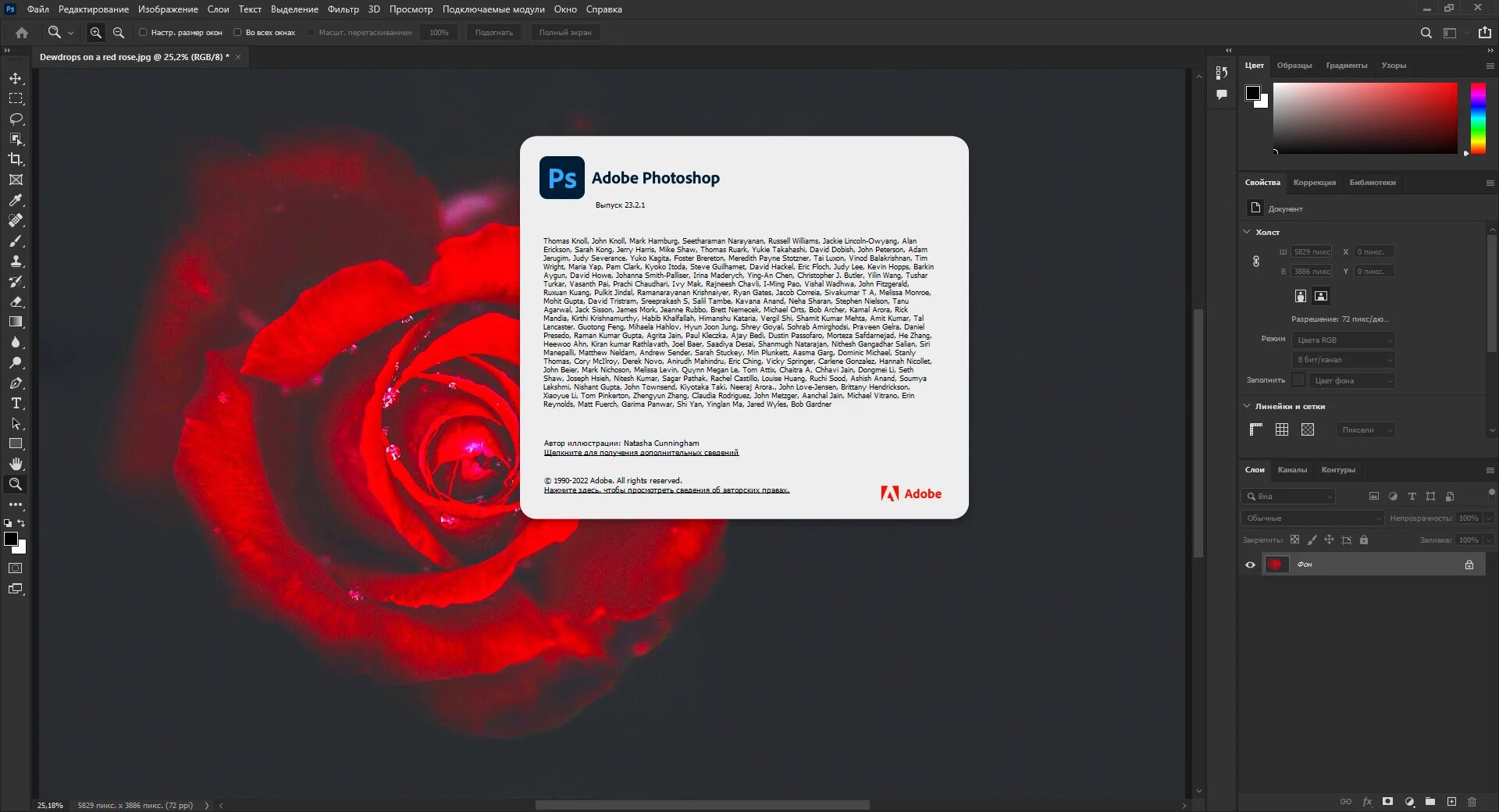 Adobe photoshop 2025 repack. Photoshop 2025. adobe photoshop 2025 torrent. adobe закрывается. фотошоп 2025 лицензия.