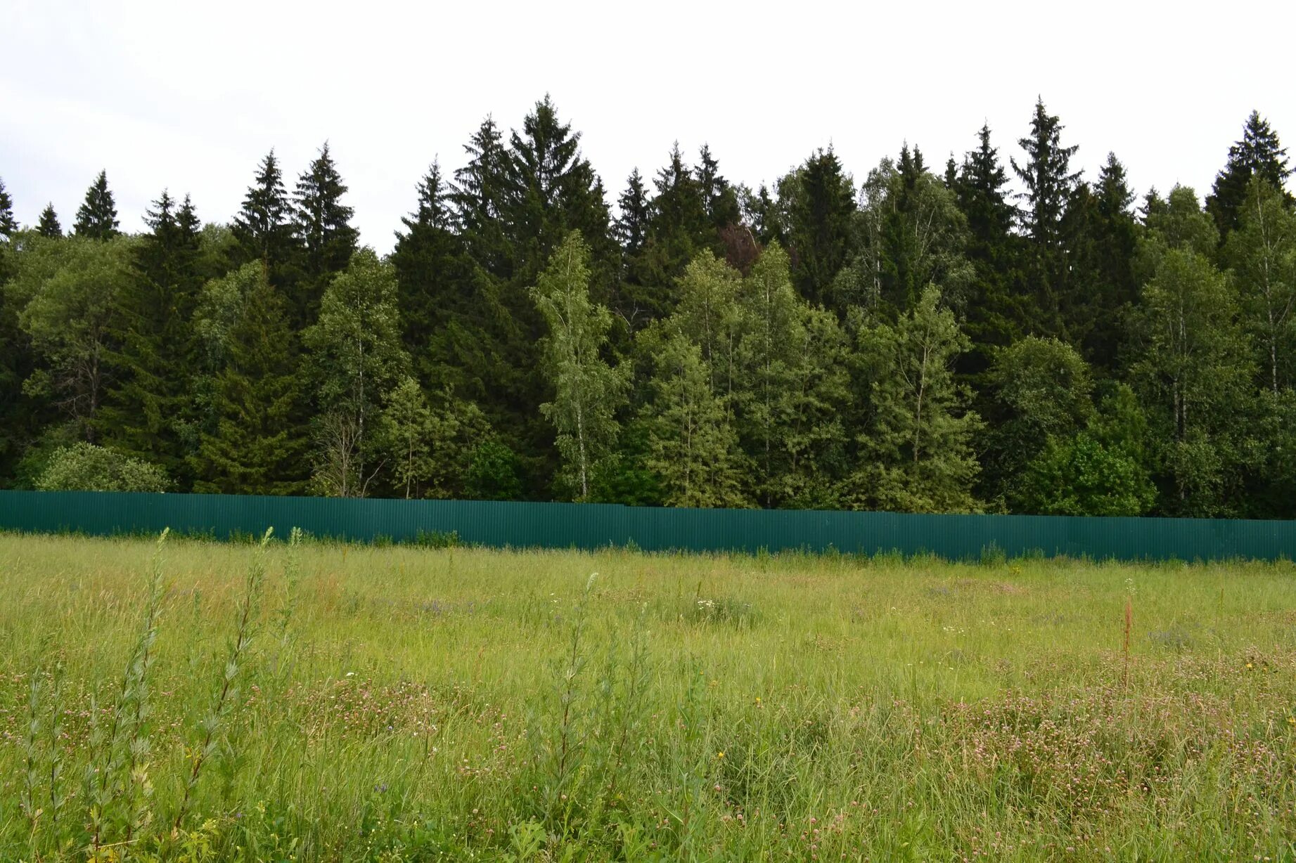 18 соток земли. проект лесоустройства. участок у леса. лесным участком является земельный участок. лесным участком является земельный участок.