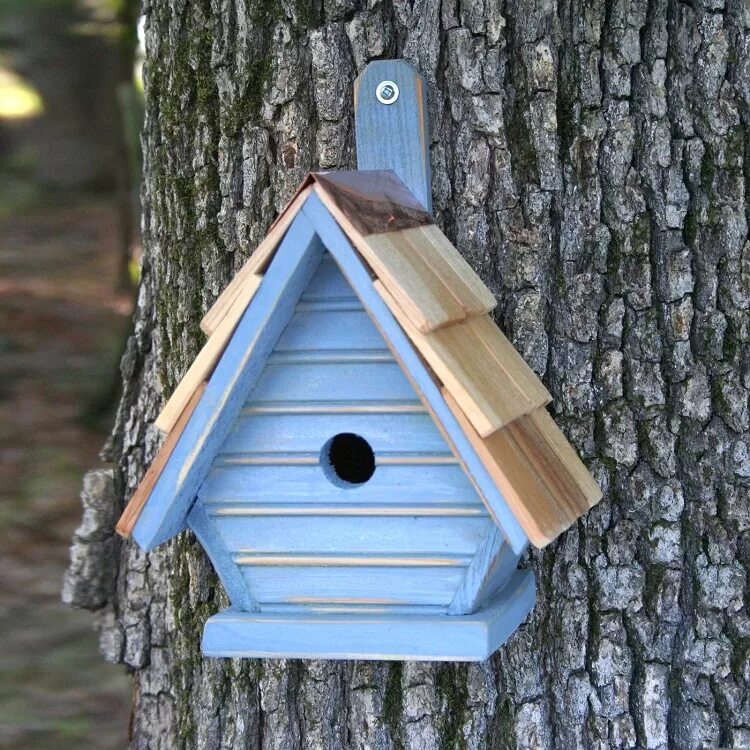 скворечник-бельчатник "сойка". необычные скворечники. скворечник. скворечник bird стандарт 23х20х35см. необычные скворечники.