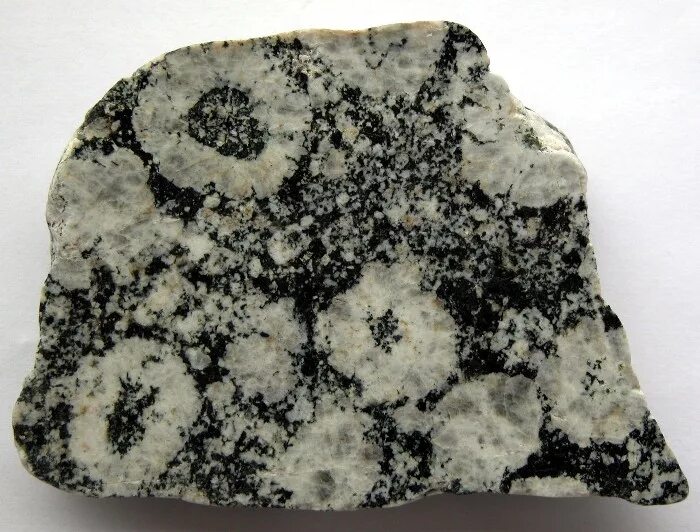 Granodiorite is a phaneritic texture intrusive igneous rock similar to granite, 