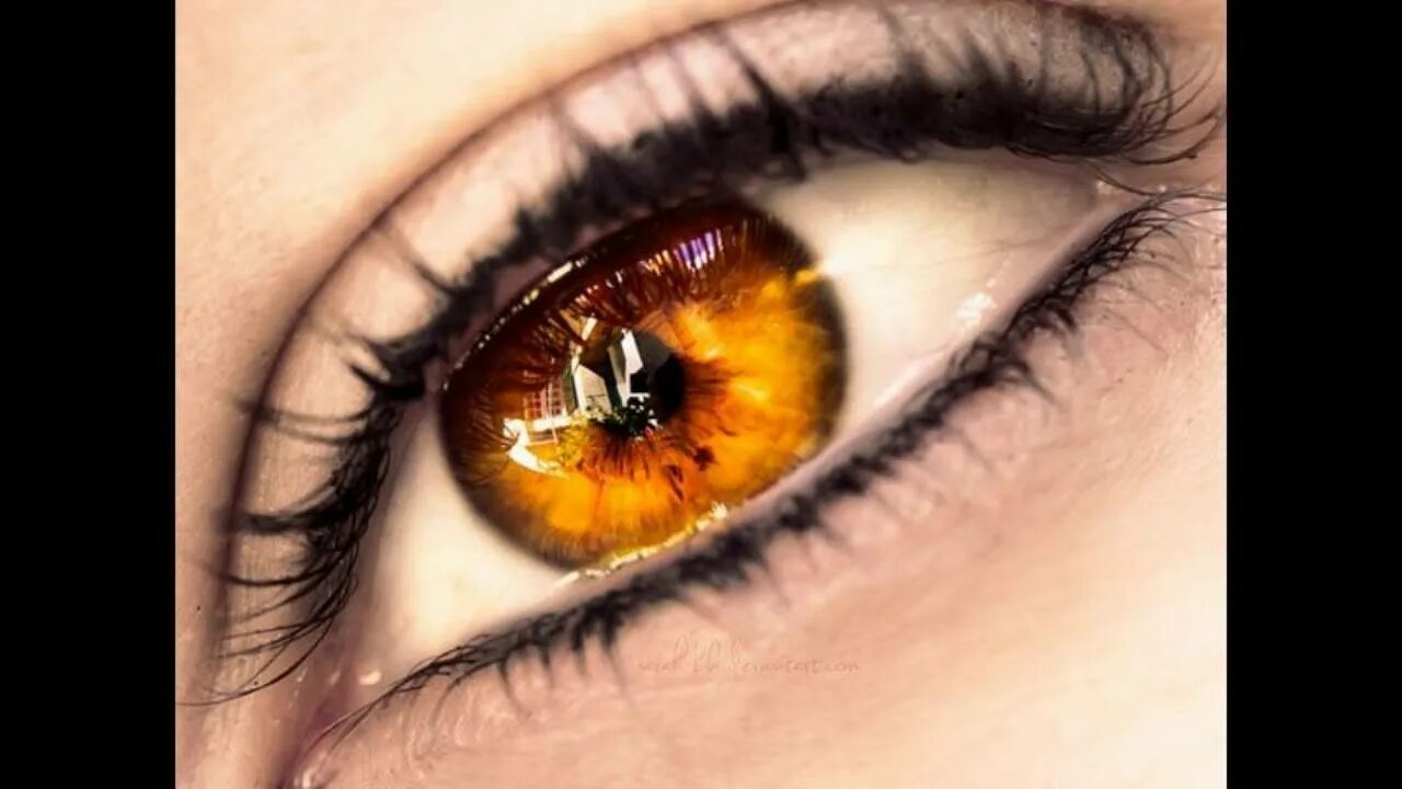 Оранжевые глазки. Темный янтарь цвет глаз. Глаза цвета янтаря. Янтарно Карий цвет глаз. Карие глаза янтарь.