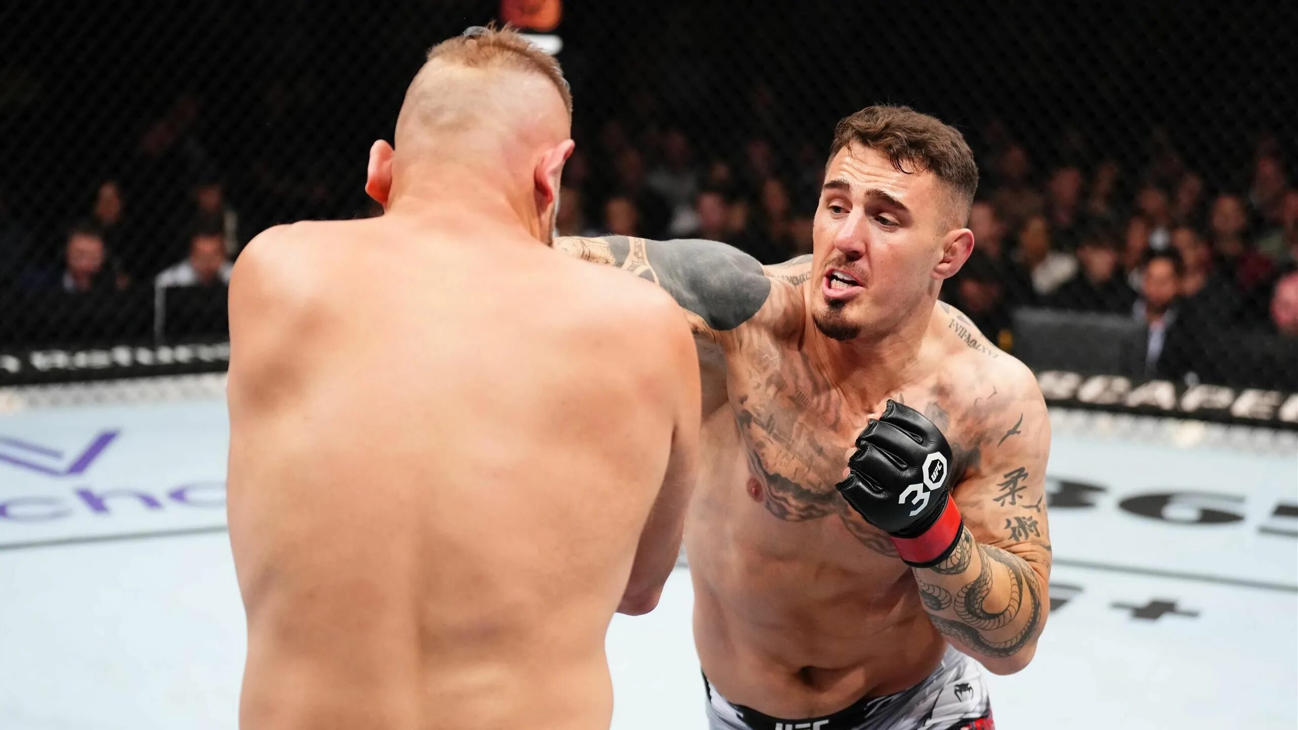 Том аспиналл кертис блейдс. Аспинал. Блейдс юфс. Аспинал. Аспинал.