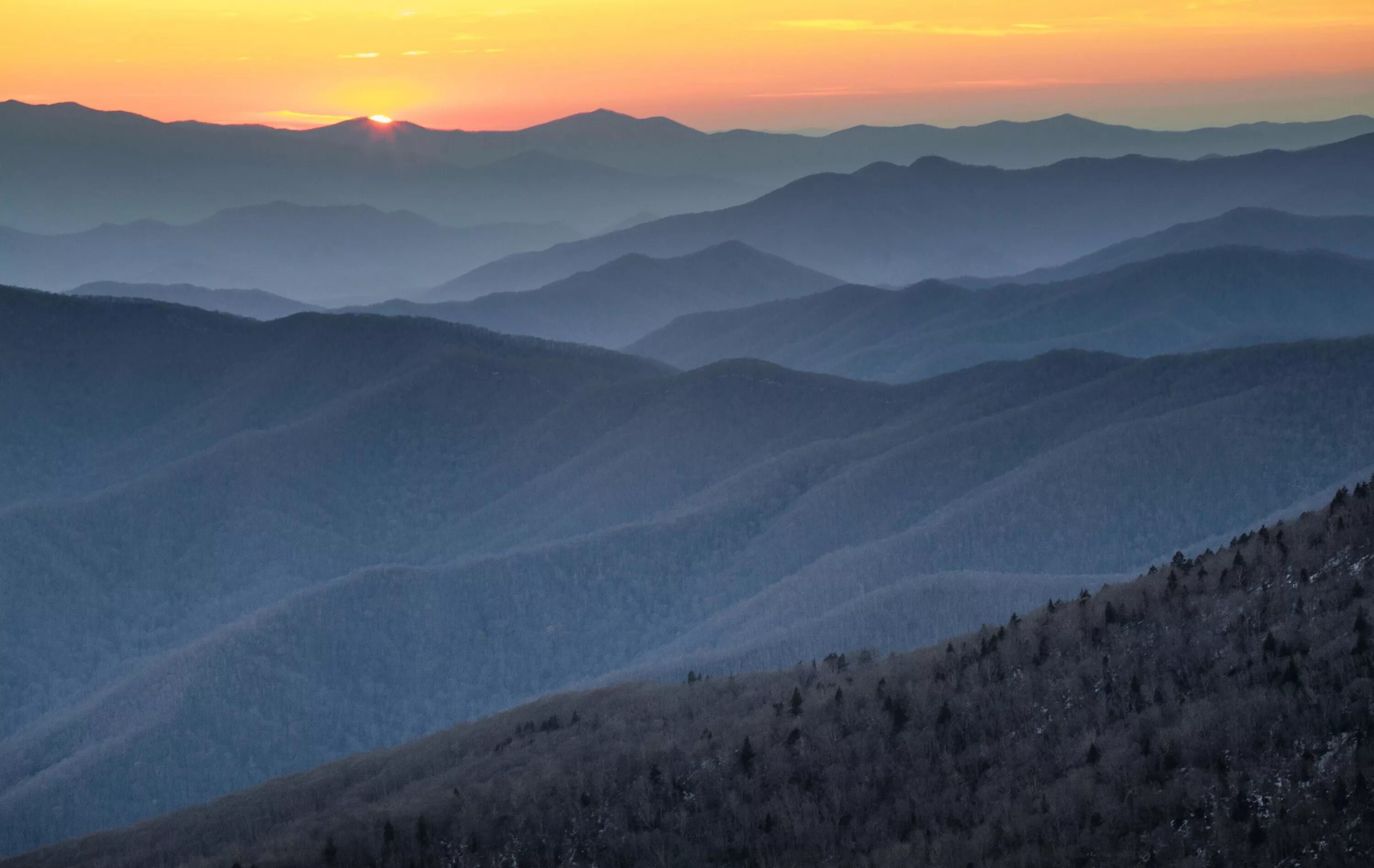 Blue ridge mountain blues. Блу Ридж Маунтин. Серо голубые горы. Природа серо голубая горы. Карпаты синего цвета.