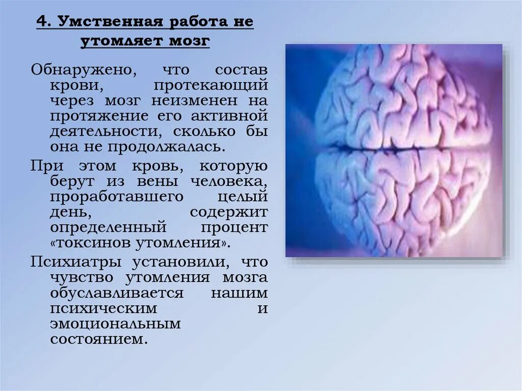 Все проходит через мозг. Мозг и умственная деятельность. Умственная работа утомляет. Работа мозга при деятельности. Умственная деятельность клетки мозга.