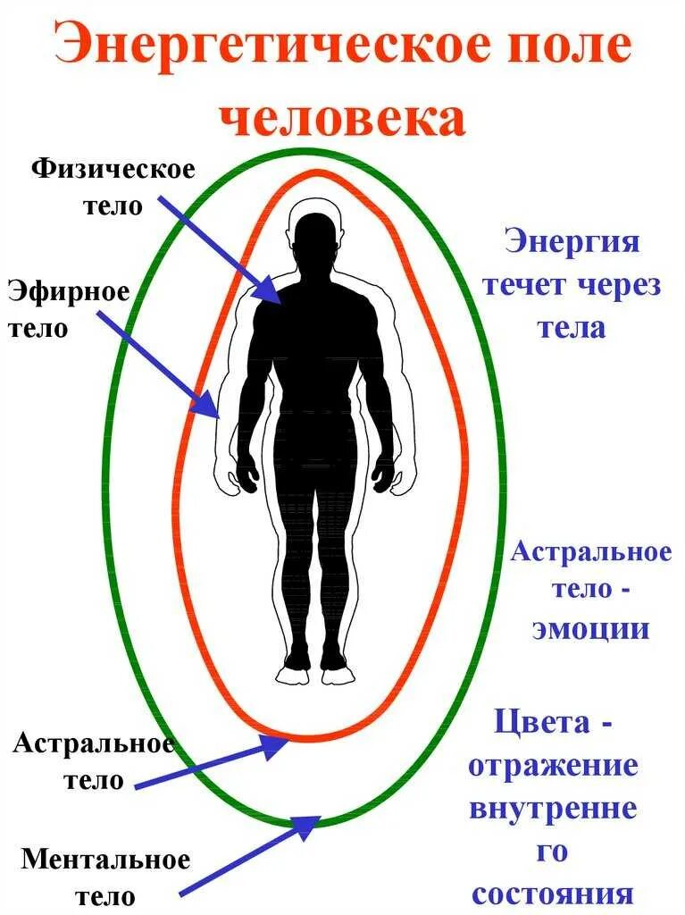 Астральное тело человека астральное тело человека. Энергетические тела человека. Эфирное тело. Эфирмное ментальноетело.