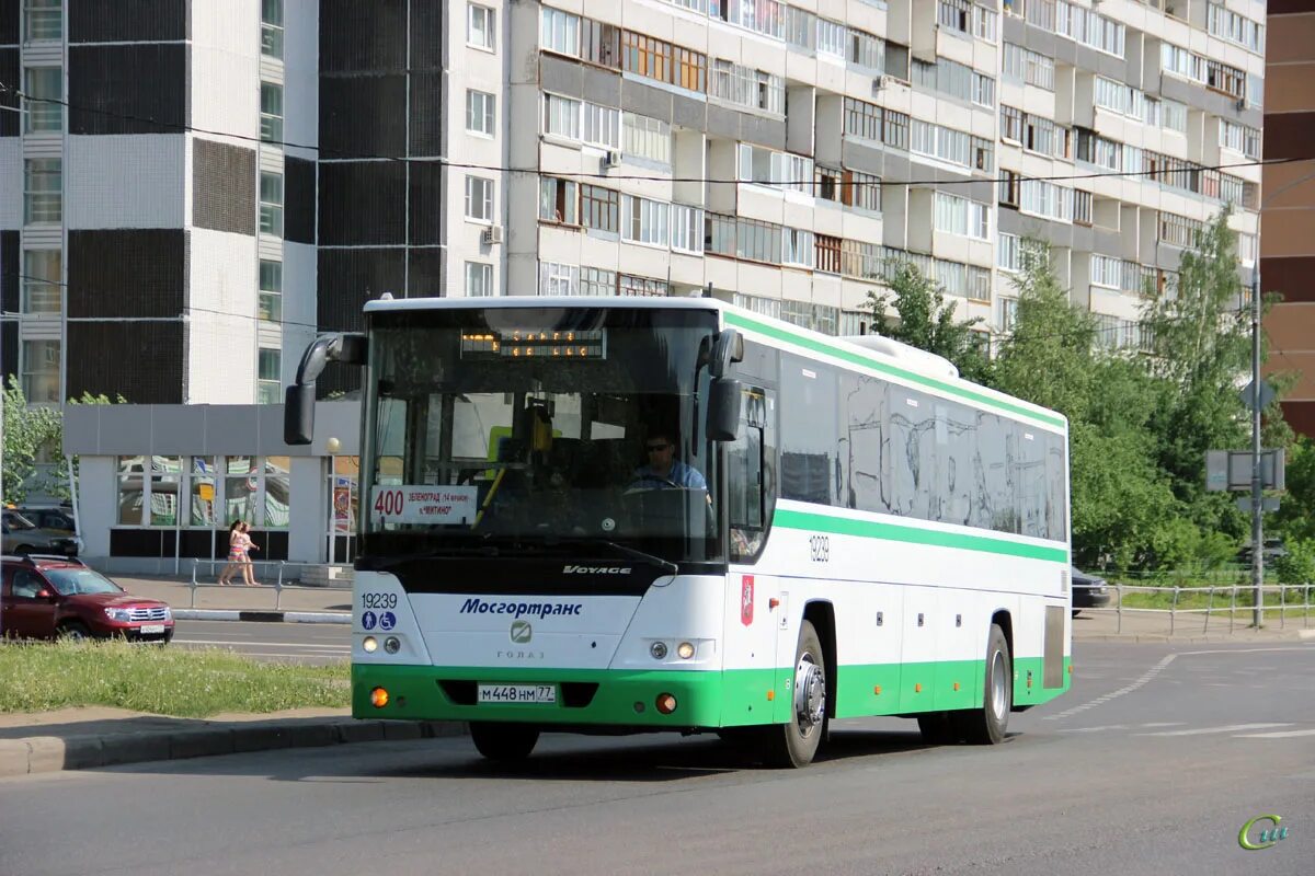 Изменения автобусов зеленоград. ЛИАЗ 5251 Вояж. ГОЛАЗ ЛИАЗ -5251 Вояж. Автобус ГОЛАЗ 5251. ГОЛАЗ 5251 Московская.