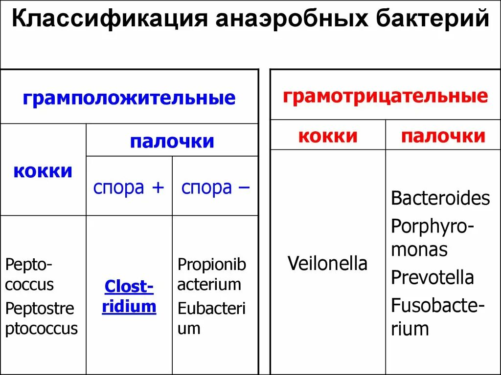 Классификация анаэробов микробиология. Классификация микроорганизмов микробиология таблица. Факультативные анаэробы грамположительные палочки. Классификация анаэробных бактерий. Аэробные органы