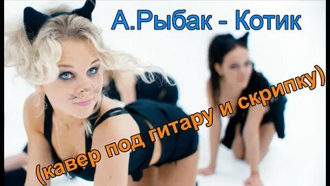 Кот клип песни