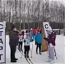 Чп вельск