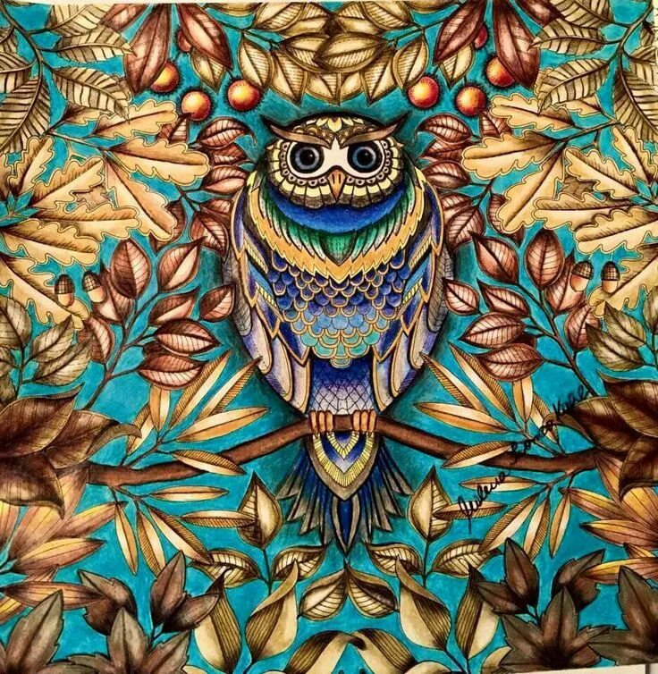 By owl secret video uff retro edit
