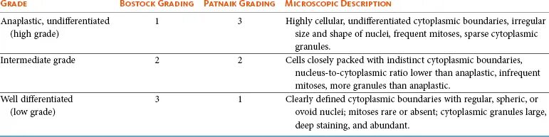 Сае экзамен. Low grade в онкологии. Pin low grade. Что значит low -grade в медицине. Дисплазия шейки матки 2 степени гистология.