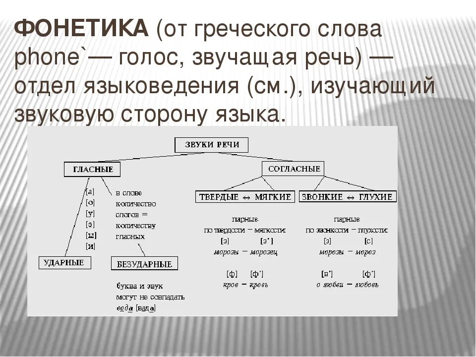 Звуки речи конспект урока 1 класс. Фонетика. Звуки речи схема. Фонетика русского языка. Расскажите о фонетике.