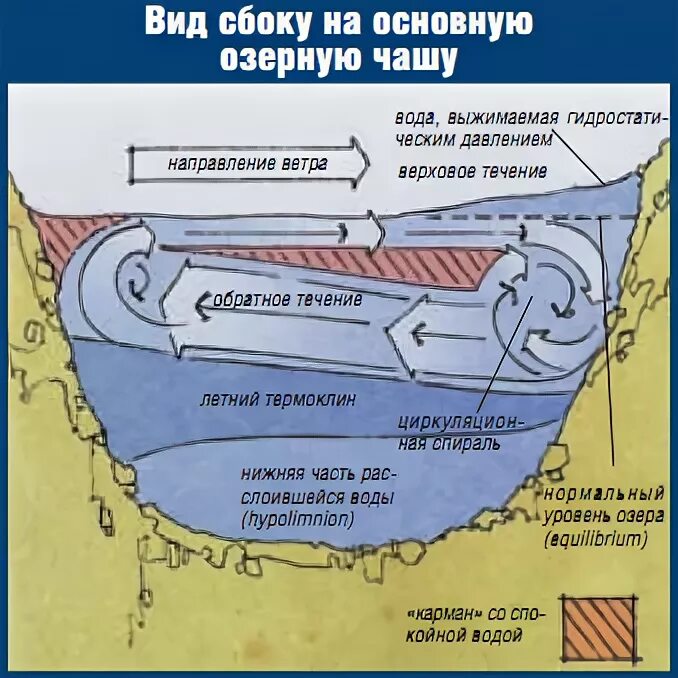 бассейн реки,устье реки,исток реки. река устье исток русло. течения в озерах. течения в озерах. плотностные течения.