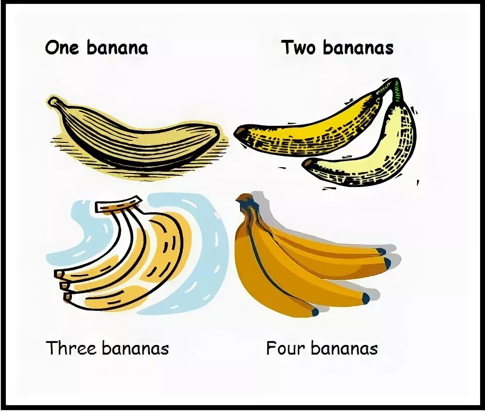 Как будет по английски банан. Строение банана. Банан схема. Изначальный банан. Изначальный ВТД банана.