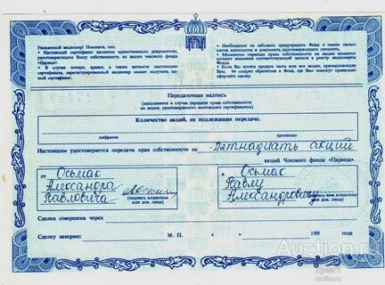 Народный чековый инвестиционный