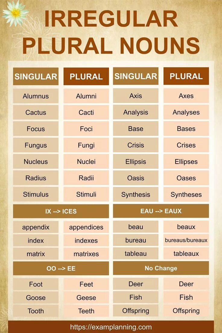 Irregular plural Nouns список. Здгкфд шшкупгдфк тщгты. Irregular plurals список.