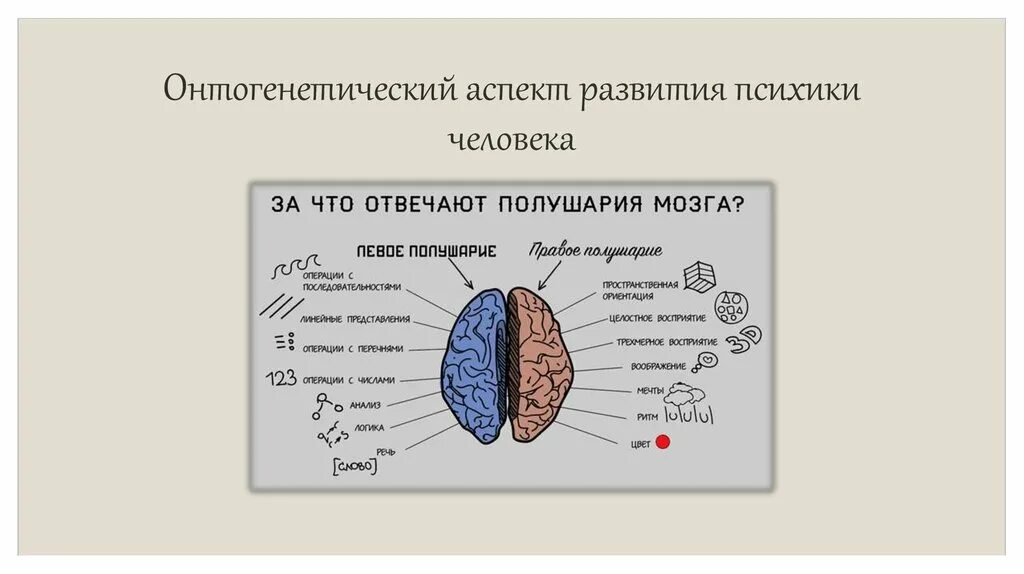 Психика человека 8 класс