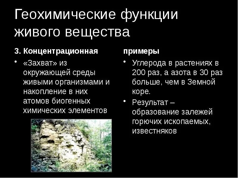 Геохимические функции живого. Функции живого вещества. Примеры геохимических функций живого вещества. Перечислите основные геохимические функции живого организма:.