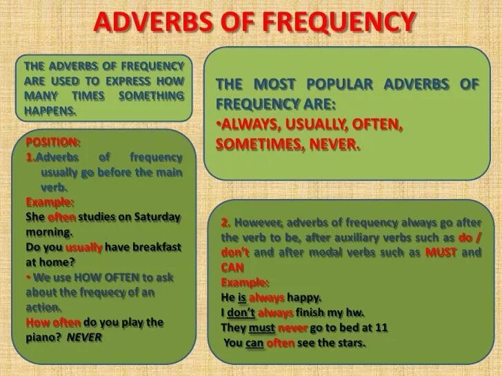 Frequency adverbs and expressions. Наречия в английском. место наречия в английском предложении. adverbs of frequency. frequency adverbs в английском языке.