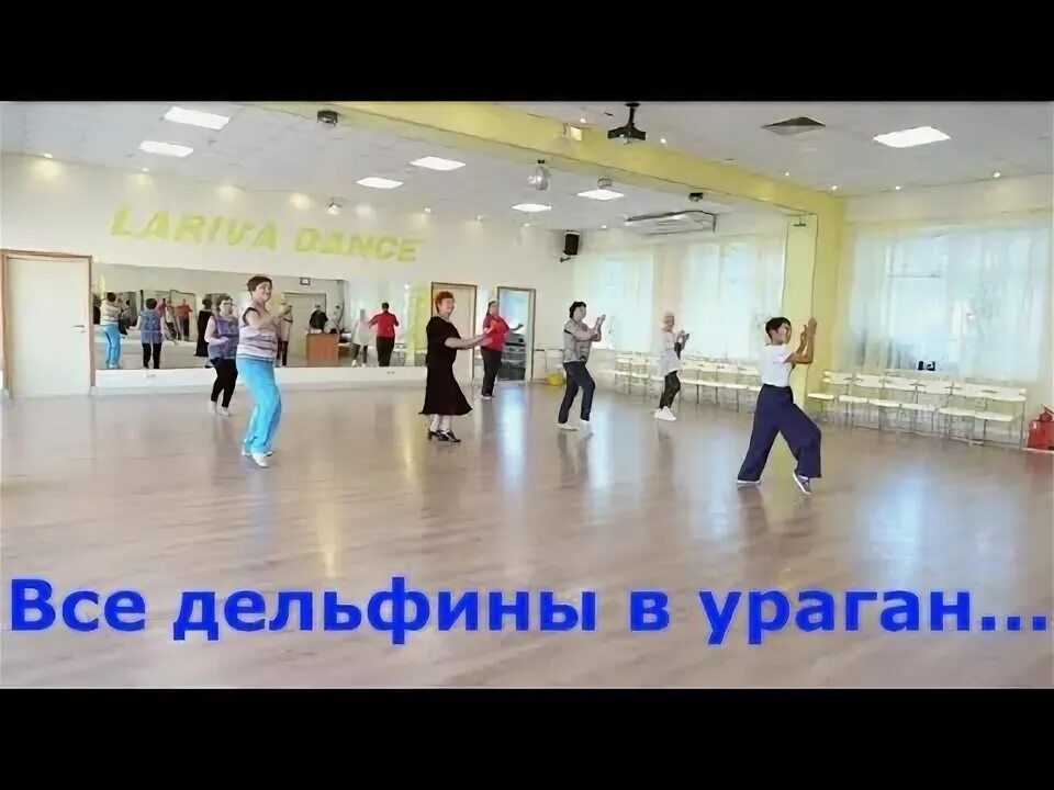 У самого синего моря в исполнении банд одесса. У моря у синего моря банд одесса. Чубчик кучерявый банд одесса. Банд одесса все дельфины в ураган уплывают в океан танец. Банд одесса океан дельфины.