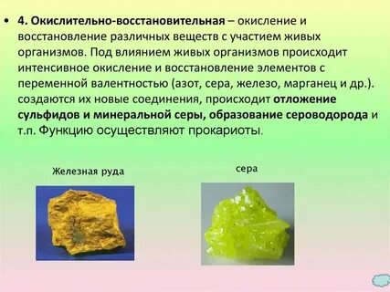 Химические связи в живых организмах