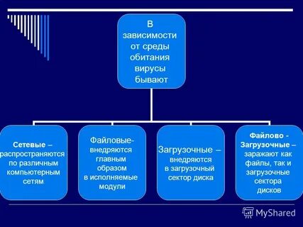 В зависимости от среды
