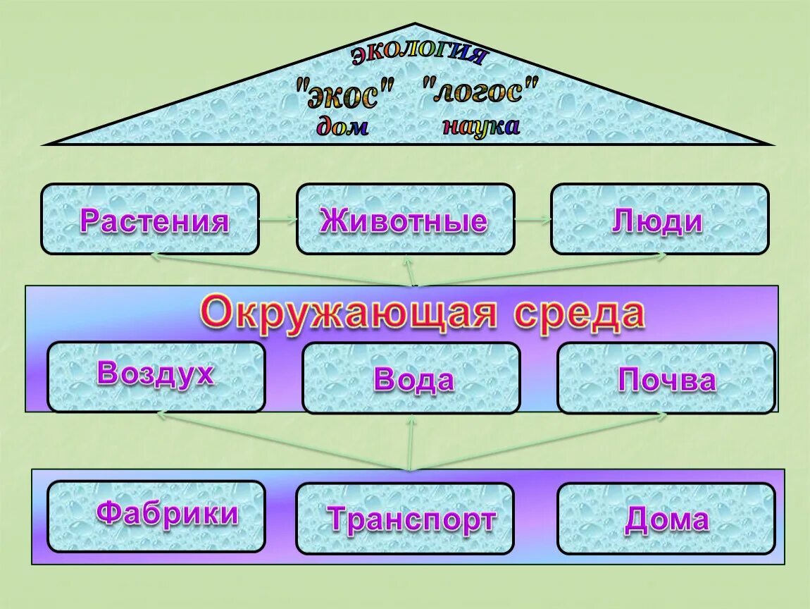 Урок экология 3 класс школа россии. Экологическая безопасность 3 класс. Цепи загрязнения окружающей. Экологическая безопасность цепь загрязнения. Экология это 3 класс.