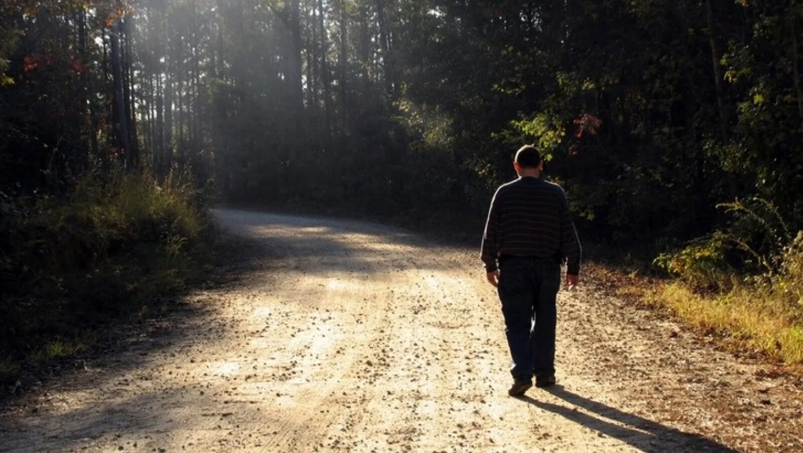 Мы медленно шли по дороге обсаженной старыми. Человек идет в лесу. Человек идет по дороге. Человек на дороге. Человек на дороге в лесу.