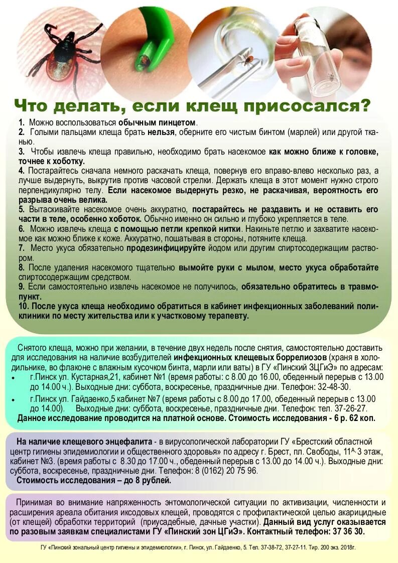 Если укусил клещ симптомы у человека. Чем обработать место укуса клеща. Чем необходимо обработать место присасывания клеща. Обработка места укуса клеща.