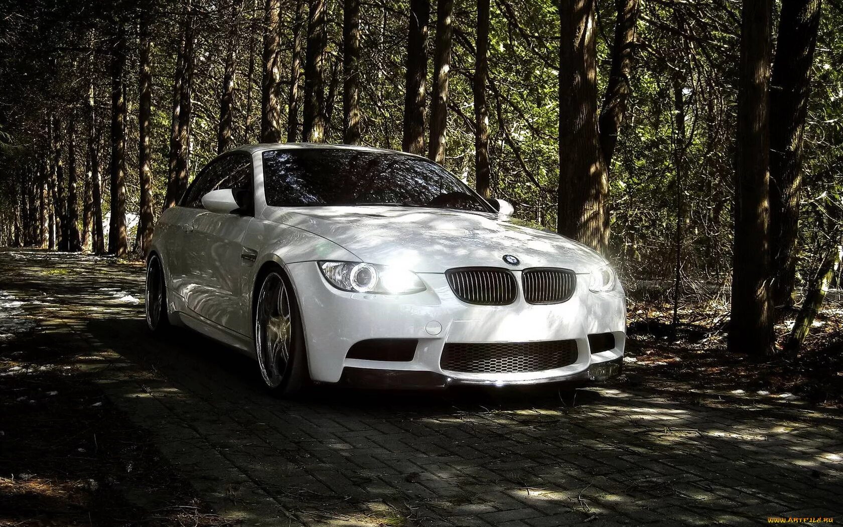 Капот в лесу. БМВ м3. BMW m5 e60. БМВ м5 в лесу. BMW m3 360 Forged.