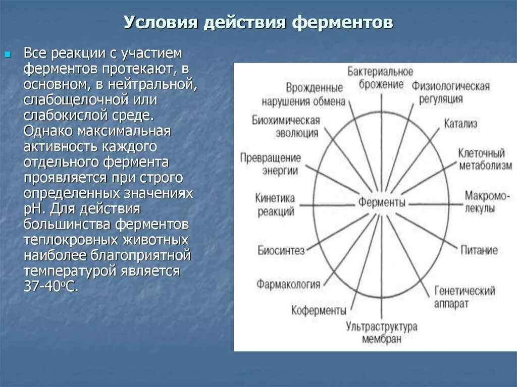 Условия действия ферментов. Условия необходимые для работы ферментов. Оптимальные условия действия ферментов. Ферменты условия действия ферментов. Замораживание ферментов