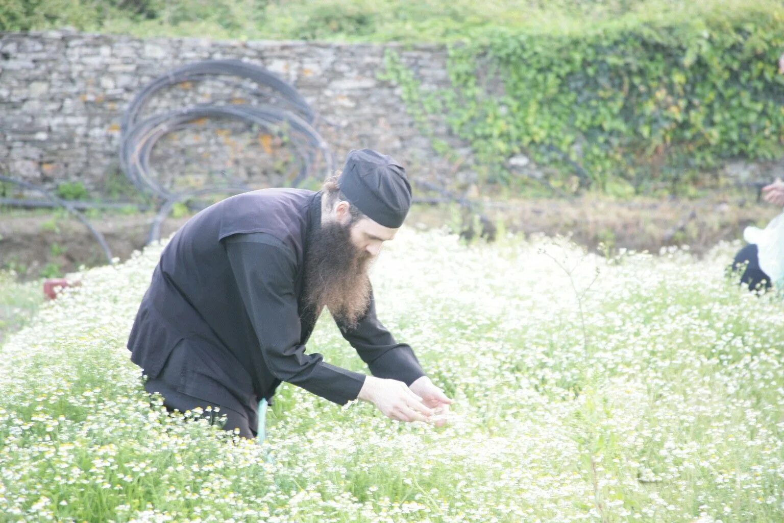 претендент в монахи
