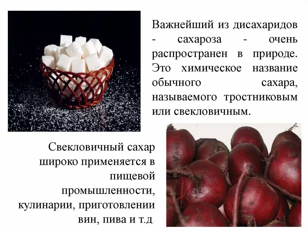 Сахароза биологическая роль. Роль в природе дисахаридов. Дисахариды в природе. Дисахариды презентация. Сахароза в природе.