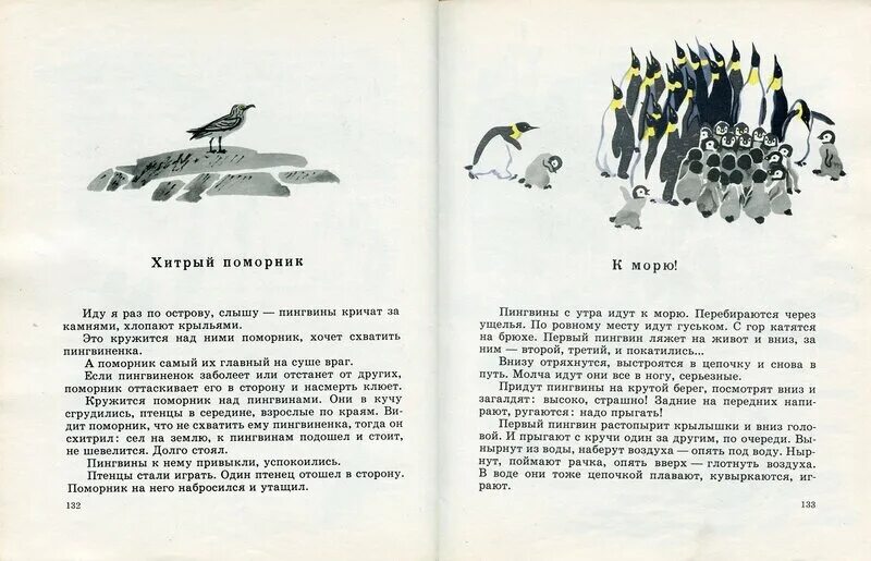 Про пингвинов рассказ читать. Про пингвинов Снегирев книга. Рассказ Снегирева про пингвинов. Рассказ т.Снегирева. Про пингвинов. Рассказ г Снегирева про пингвинов текст.