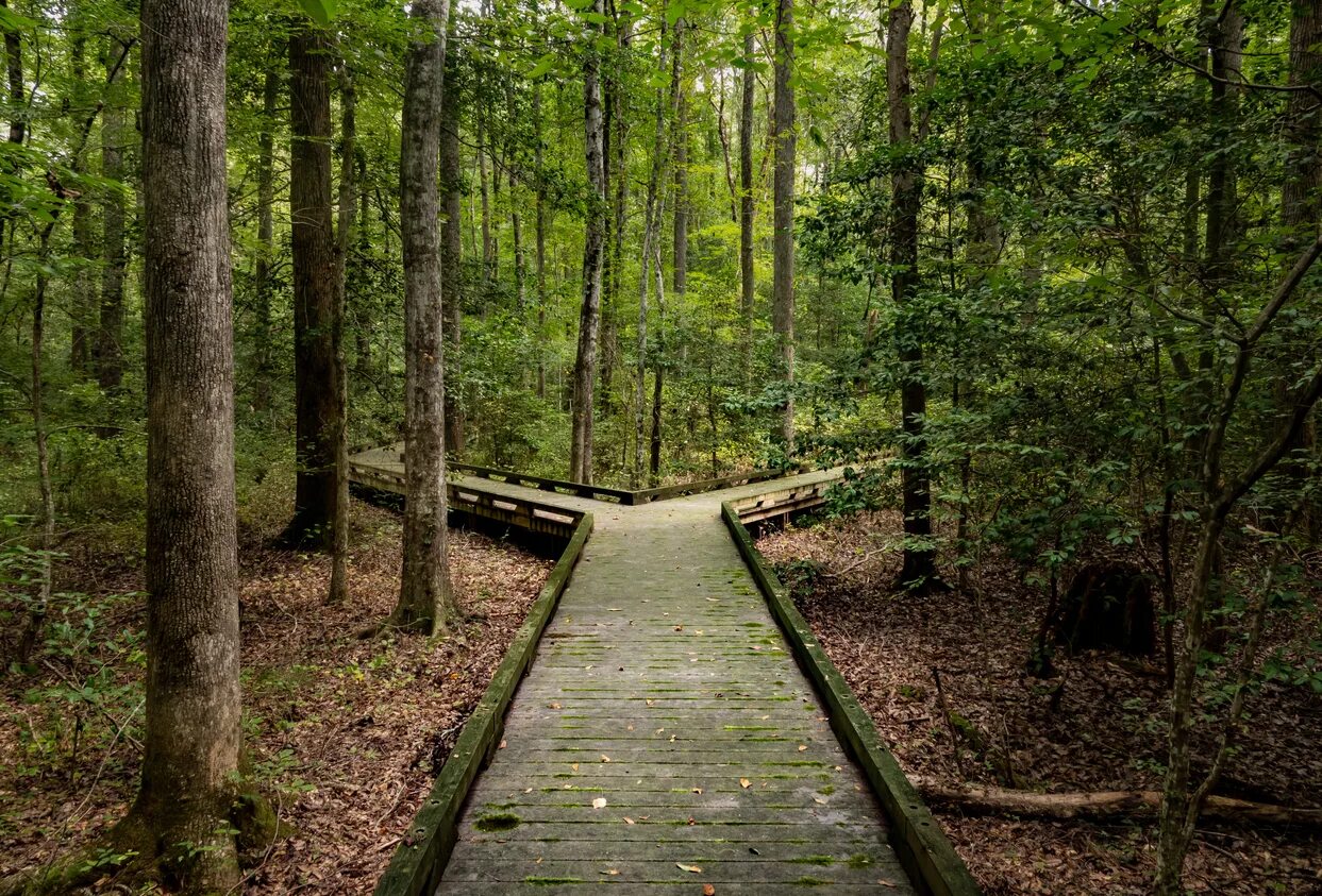 Split path